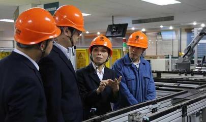 國(guó)網(wǎng)浙江電力黃金娟獲國(guó)家科技進(jìn)步獎(jiǎng)二等獎(jiǎng)