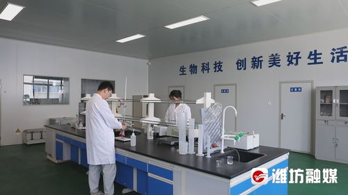 穩(wěn)扎穩(wěn)打有干頭 濰坊昌樂 創(chuàng)新驅(qū)動助力企業(yè)拓市場