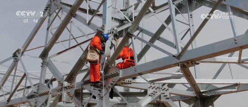 科技自強 會展矩陣 發(fā)力 多領(lǐng)域成果豐碩 高質(zhì)量發(fā)展步履鏗鏘